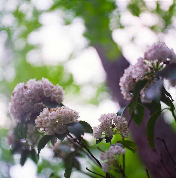 07_Red River Gorge_ June 18_ 2010.jpg